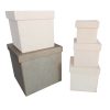Caja 20 x 20 x 20 - Imagen 2